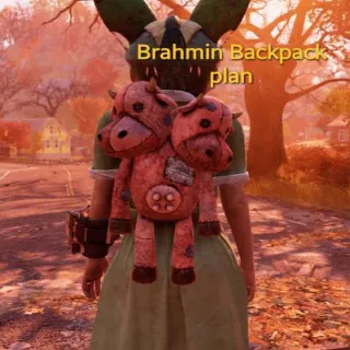 Brahmin Backpack Plan