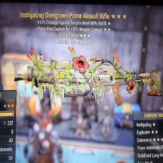 Instigating Overgrown Prime Assault Rifle