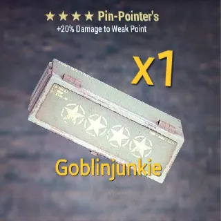 Pin-Pointer's Mod X1