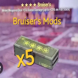 Bruiser's Mod x5