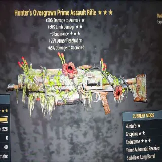 Hunter's Overgrown Prime Assault Rifle
