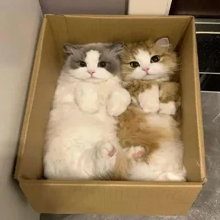 5x Heartblade + 5x Candleflame + 10x Candy Set + 5x Ice Set Mm2