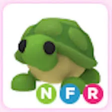 NFR TURTLE