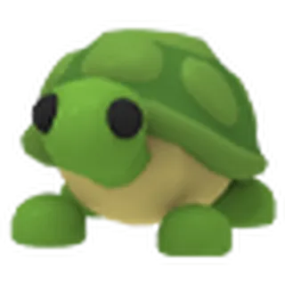 FR turtle