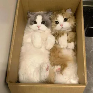 6 icep, 2 borealis set, 3 hallowgun set, 3 elderwood set, 3 heart blade, 5x Snowcannons