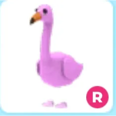 ride flamingo
