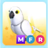 Mfr white amazon