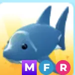 mfr shark