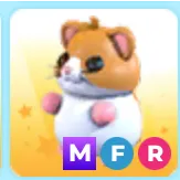 Mfr hamster