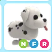 nfr Dalmatian