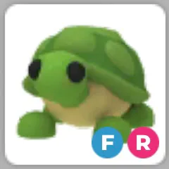 FR turtle