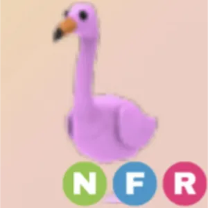 nfr flamingo