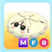 mfr white sand dollar