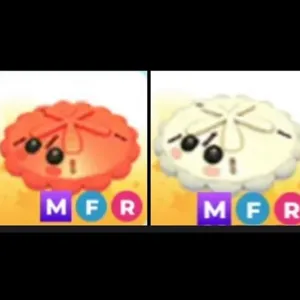 mfr sand dollar bundle