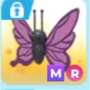 MR purple butterfly