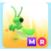 Mega praying mantis