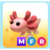 Mfr axolotl 