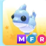 mfr shark puppy