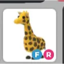 FR Giraffe