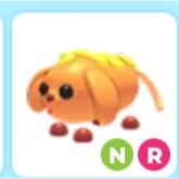 NR corn doggo