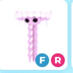 fr jellyfish