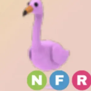 nfr flamingo