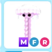 mfr jellyfish