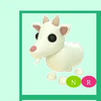 NR goat