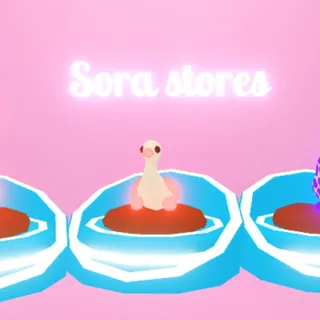 Sora Stores