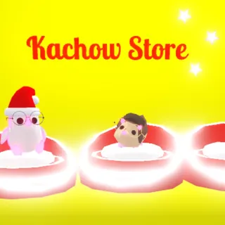 Kachow Store