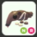 NR anteater