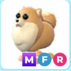 mfr Pomeranian
