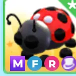 mfr ladybug