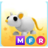 Mfr golden rat