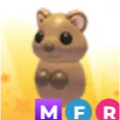 mfr Quokka