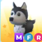 mfr husky