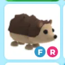 fr hedgehog