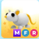 mfr golden rat