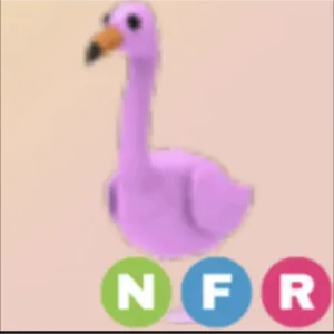 nfr flamingo