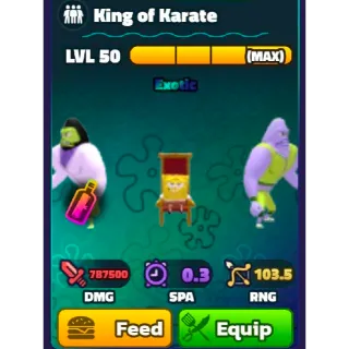 25x King Of Karate