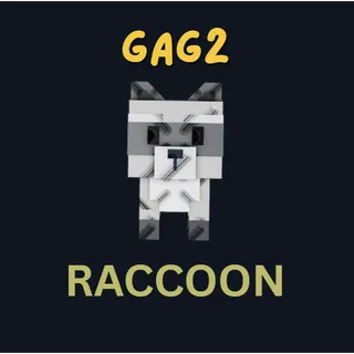 RACCOON - GAG 2
