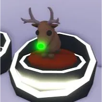 reindeer