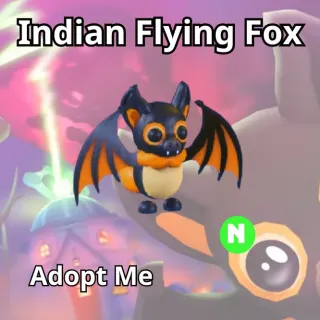 Neon Indian Flying Fox 