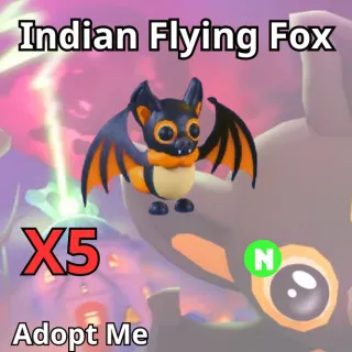 X5 Indian Flying Fox Neon 