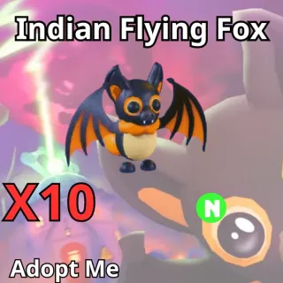 X10 Indian Flying Fox Neon 