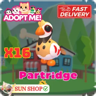 Partridge