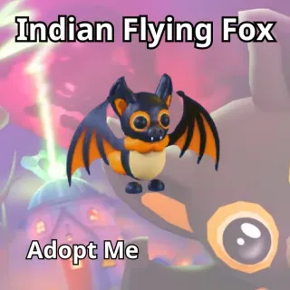 Indian Flying Fox