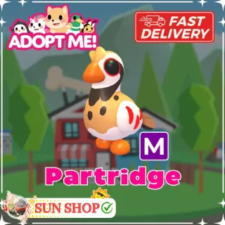 Mega Partridge