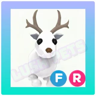 fr arctic reindeer