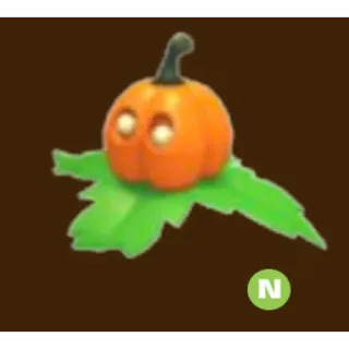 PUMPKIN FRIEND NEON